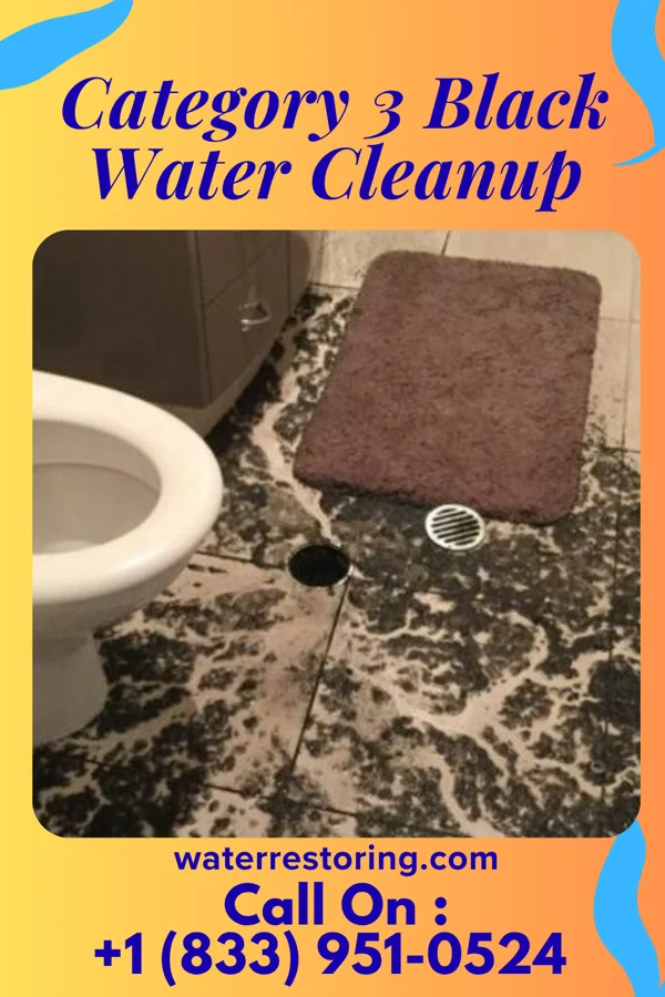 Category 3 Black Water Cleanup in Campbell, OH