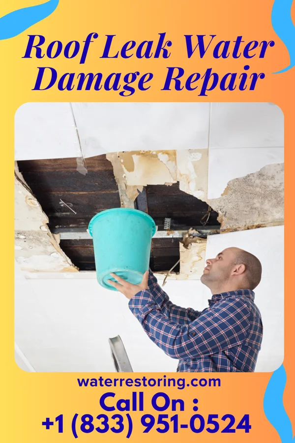 Roof Leak Water Damage Repair in Campbell, OH