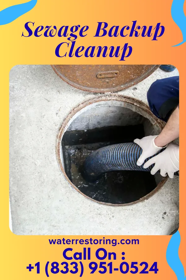 Sewage Backup Cleanup in Campbell, OH