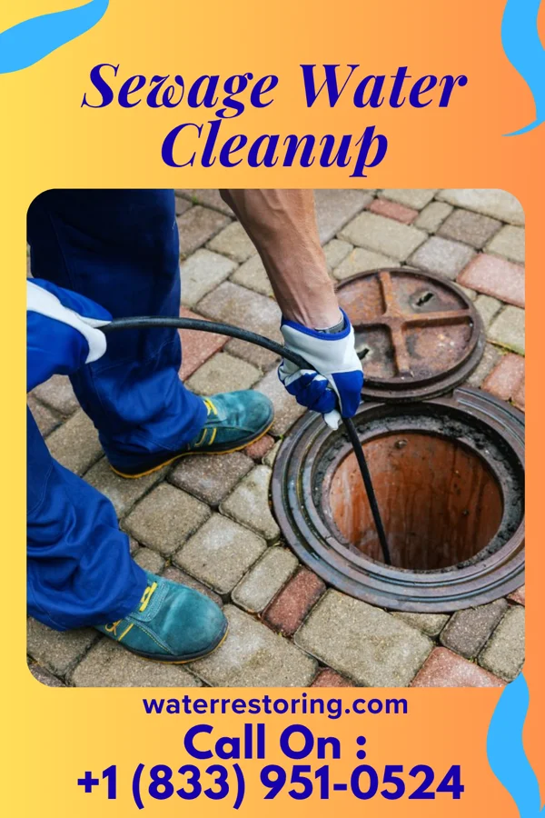 Sewage Water Cleanup in Campbell, OH